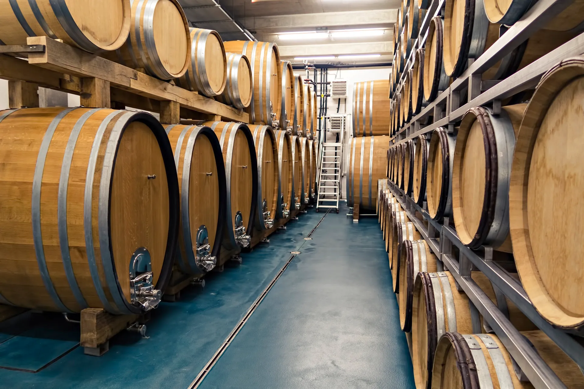 Brda_wine_cellars