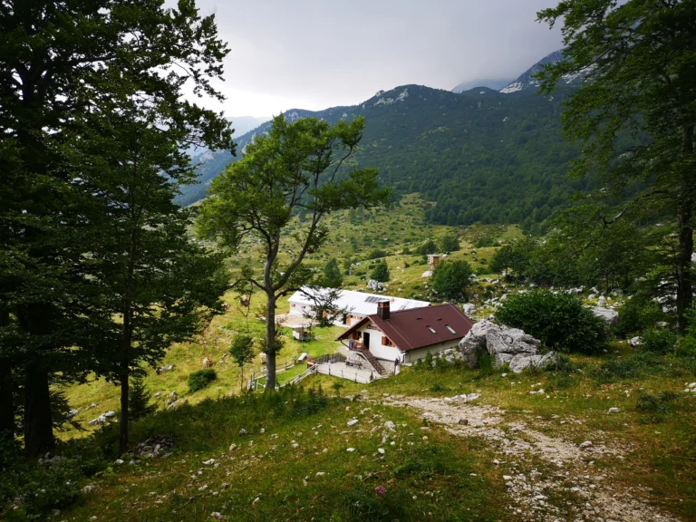 Razor alpine pasture