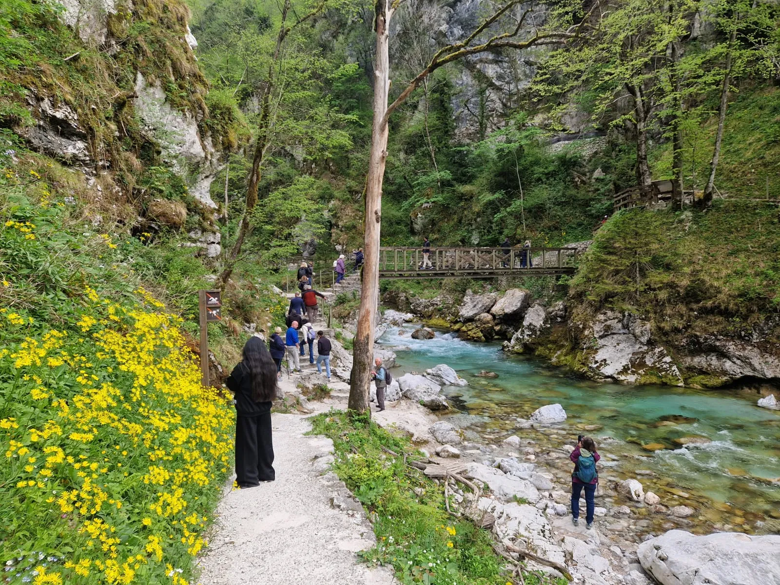 devils bridge tolmin gorges